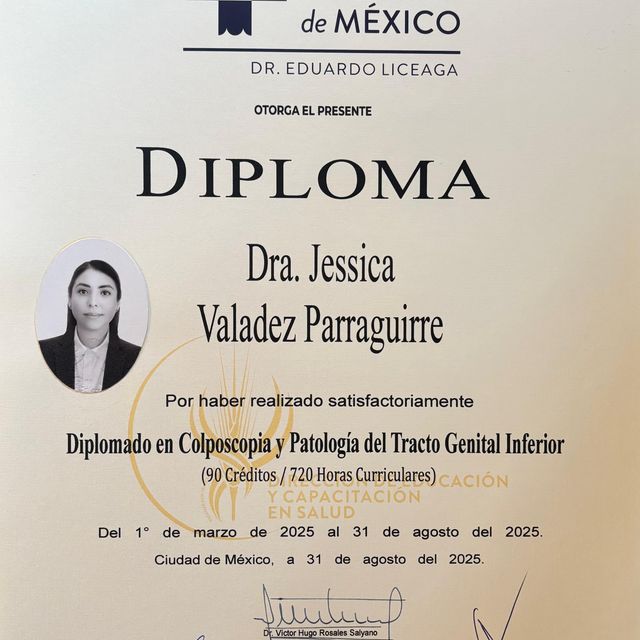 Ampliar imagen: certificate 2