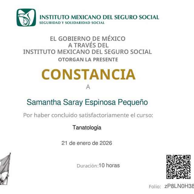 Ampliar imagen: certificate 3