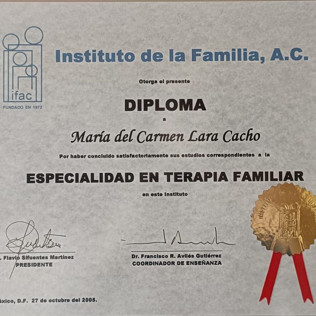 Ampliar imagen: certificate 2