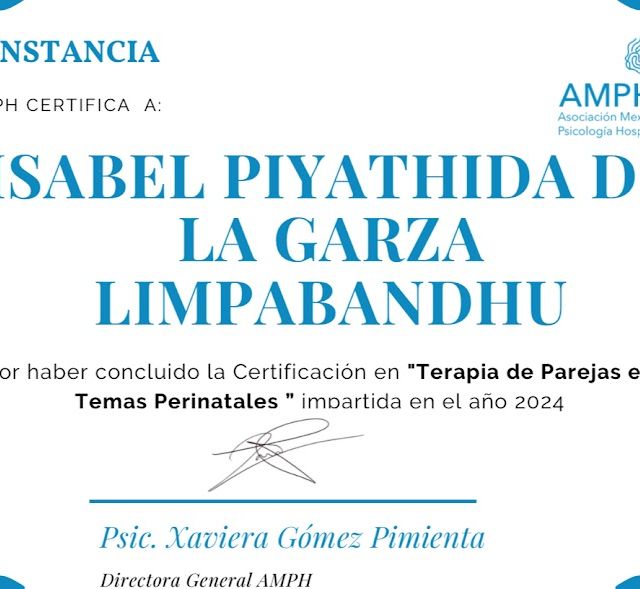Ampliar imagen: certificate 4