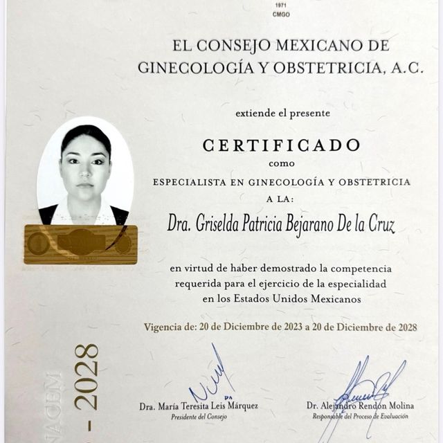 Ampliar imagen: certificate 2