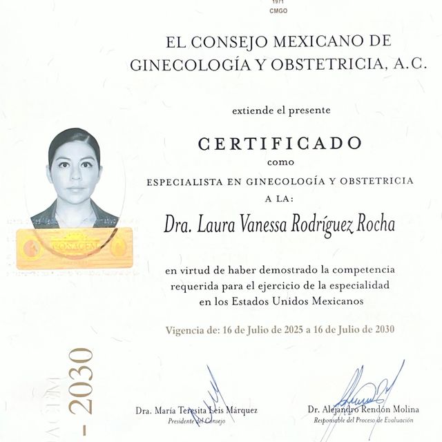 Ampliar imagen: certificate 6