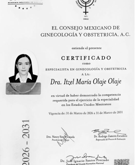 Ampliar imagen: certificate 1