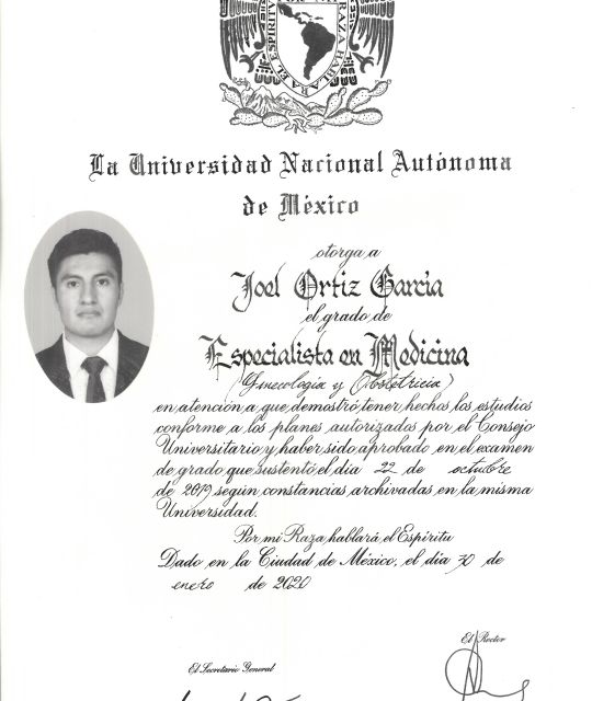 Ampliar imagen: certificate 2