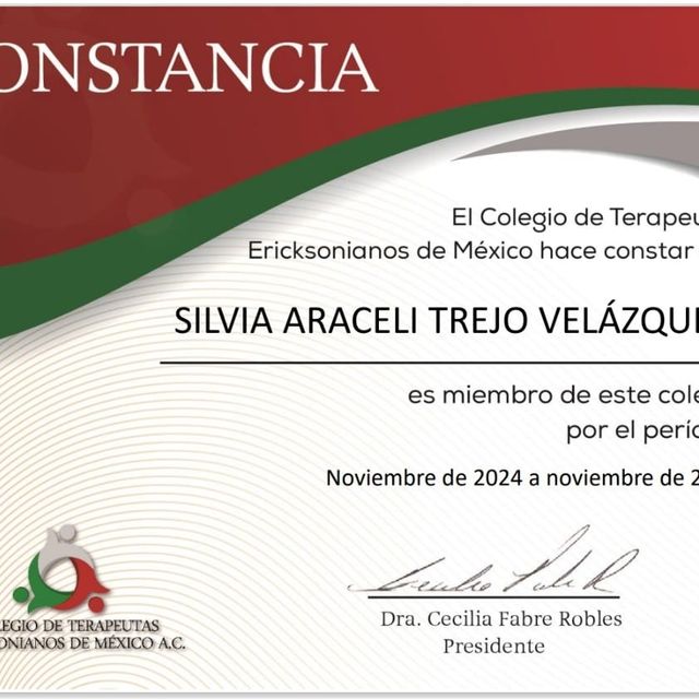 Ampliar imagen: certificate 1