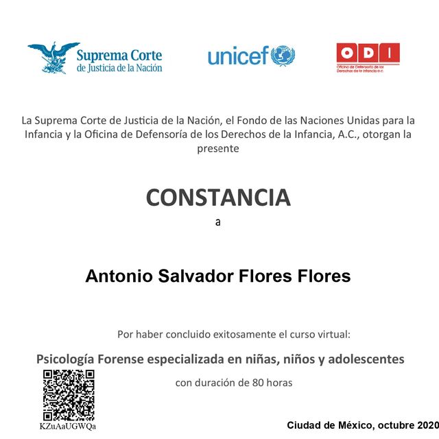 Ampliar imagen: certificate 12