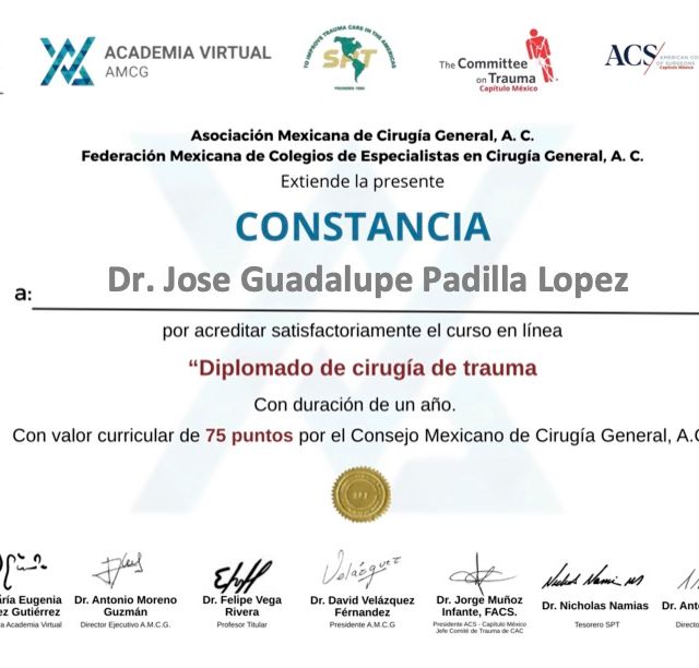 Ampliar imagen: certificate 3