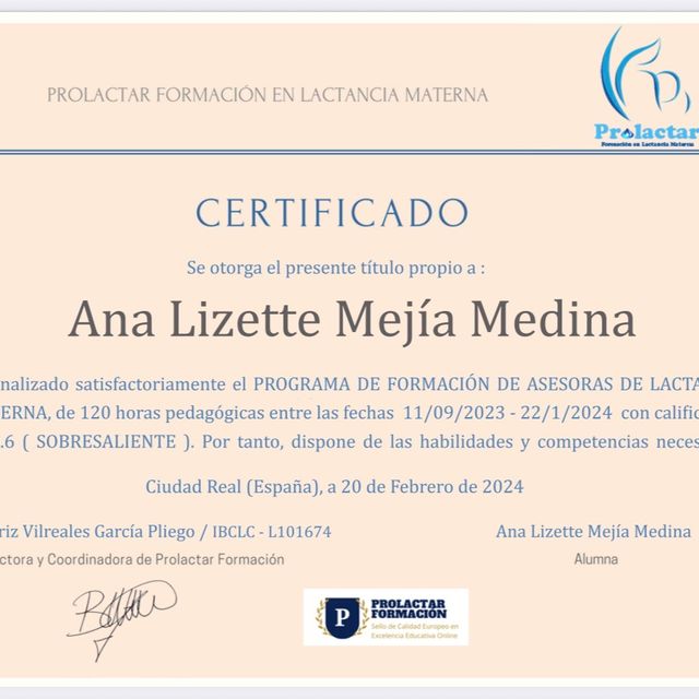 Ampliar imagen: certificate 3