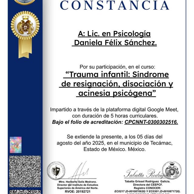 Ampliar imagen: certificate 19