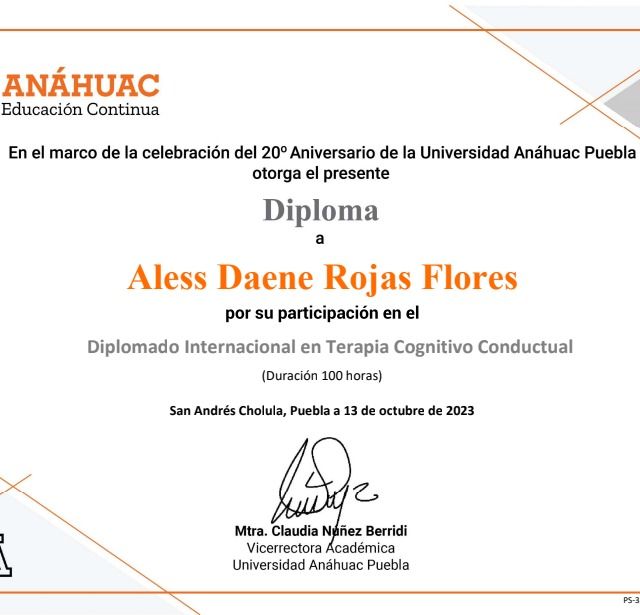 Ampliar imagen: certificate 4