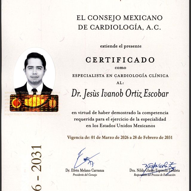 Ampliar imagen: certificate 1