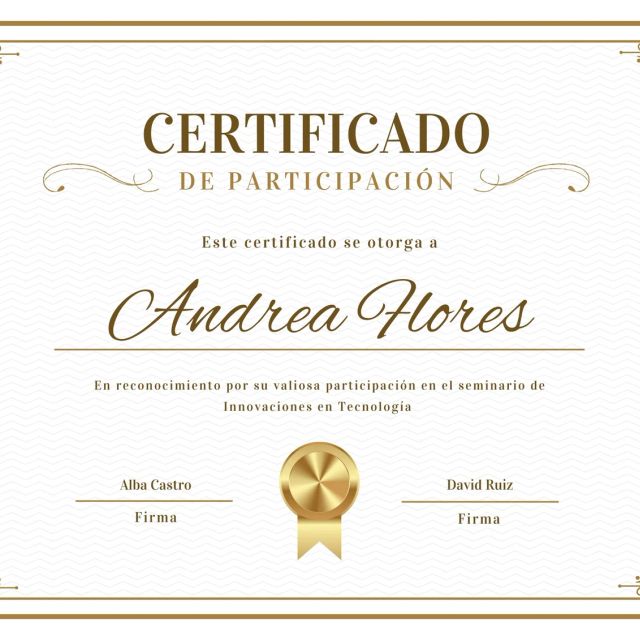 Ampliar imagen: certificate 1