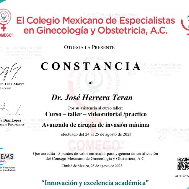 Ampliar imagen: certificate 2