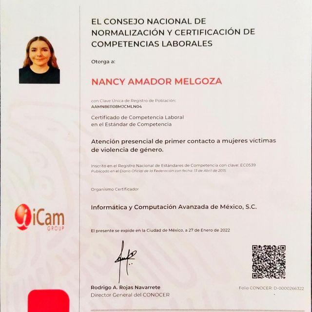 Ampliar imagen: certificate 9