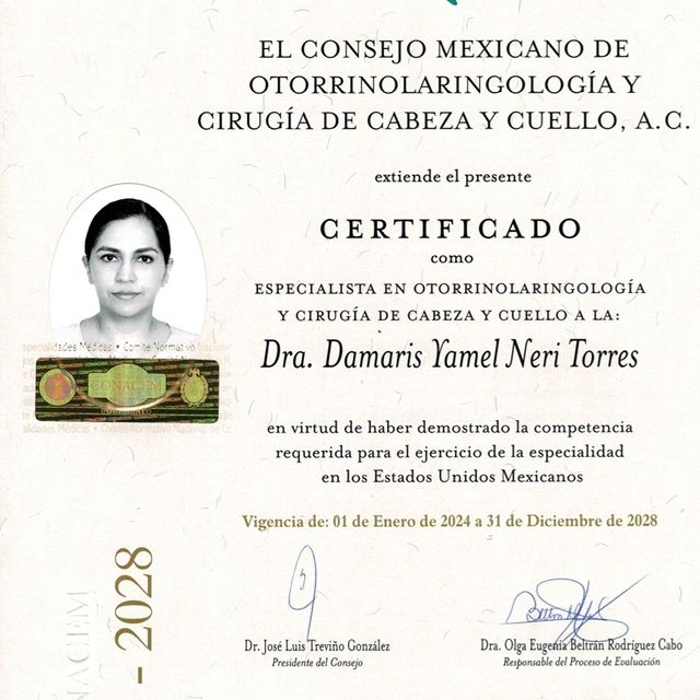 Ampliar imagen: certificate 3