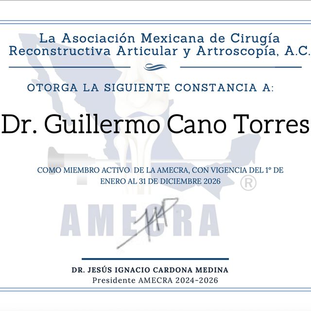 Ampliar imagen: certificate 4