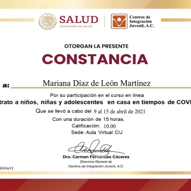 Ampliar imagen: certificate 6