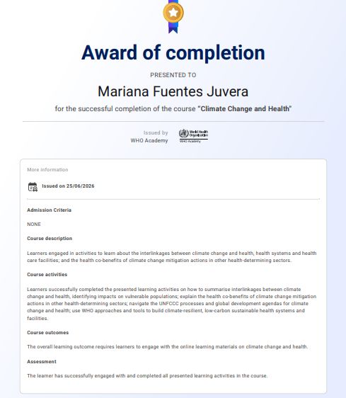 Ampliar imagen: certificate 10
