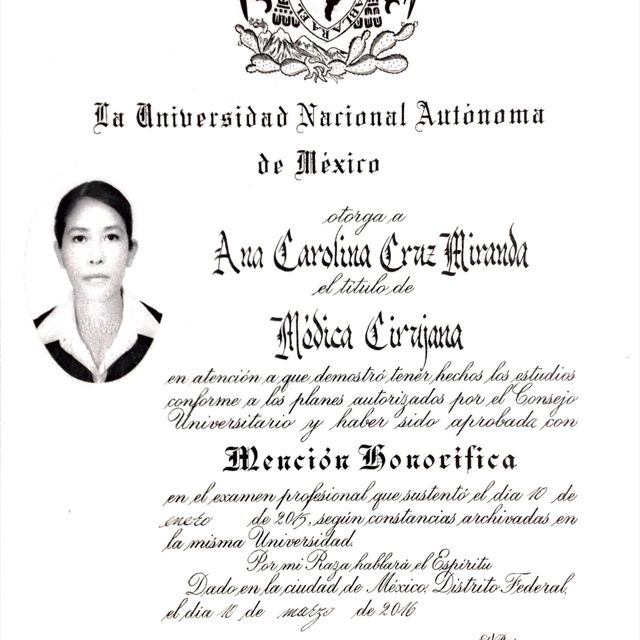 Ampliar imagen: certificate 4