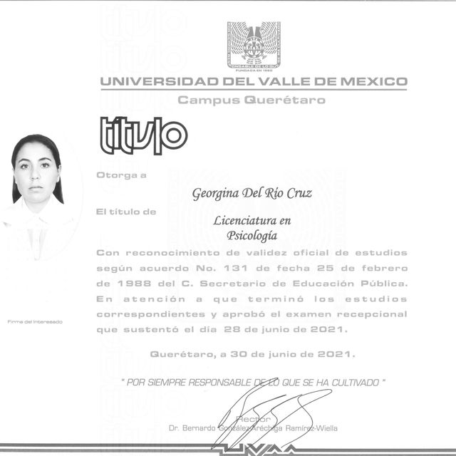 Ampliar imagen: certificate 8