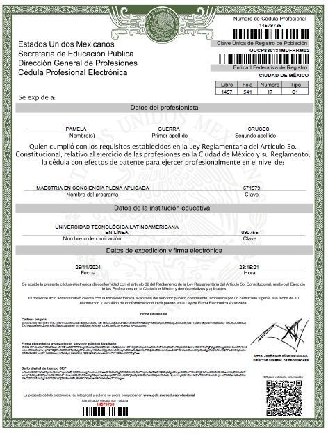 Ampliar imagen: certificate 2