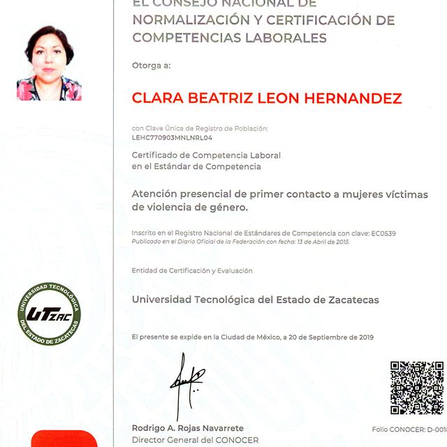Ampliar imagen: certificate 3