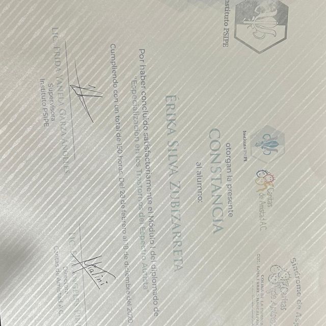 Ampliar imagen: certificate 5