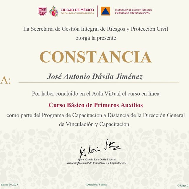 Ampliar imagen: certificate 12