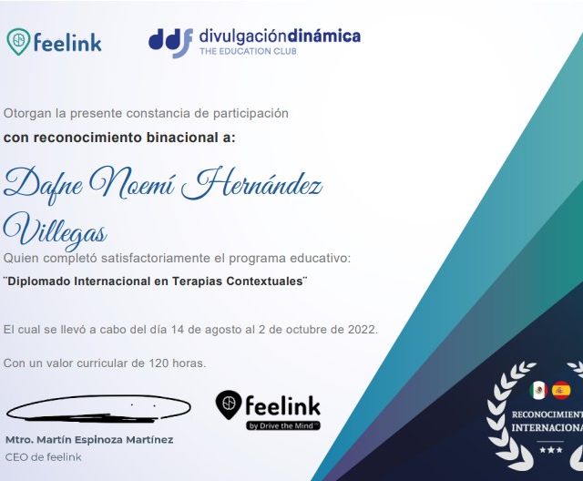 Ampliar imagen: certificate 5