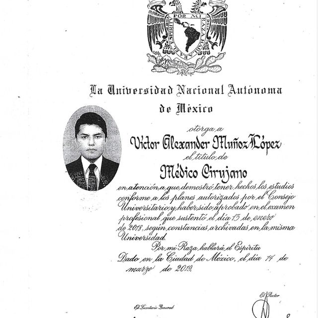 Ampliar imagen: certificate 1