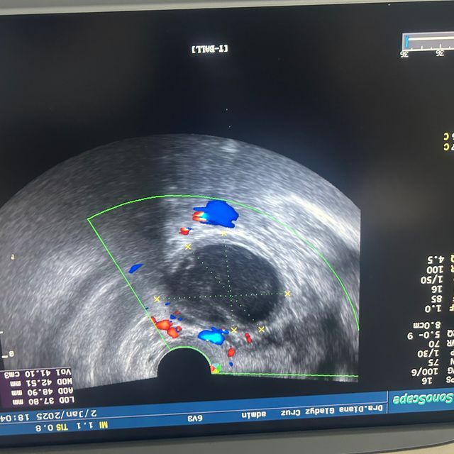 Ampliar imagen: certificate 7