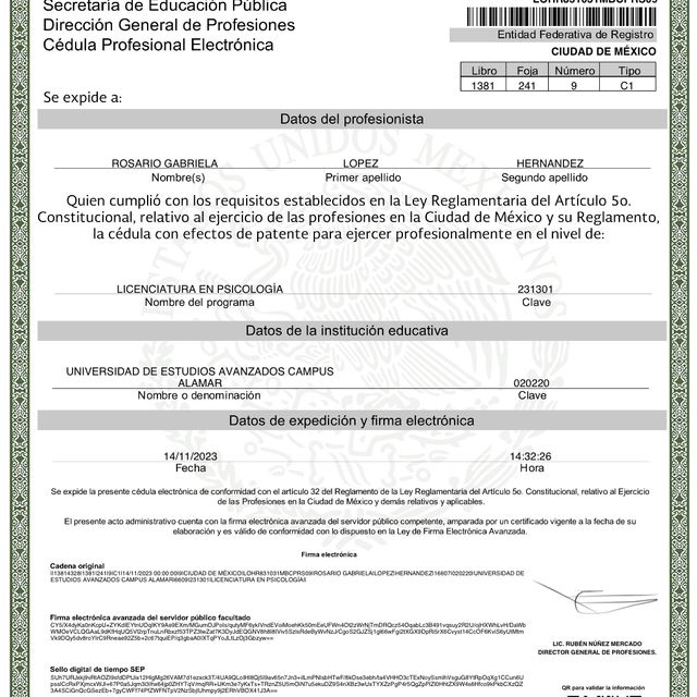 Ampliar imagen: certificate 1