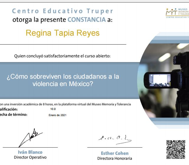 Ampliar imagen: certificate 12