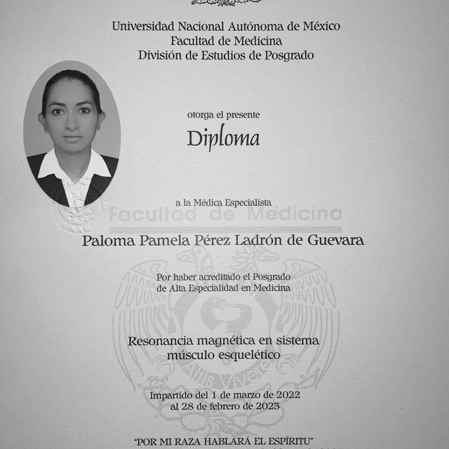 Ampliar imagen: certificate 3