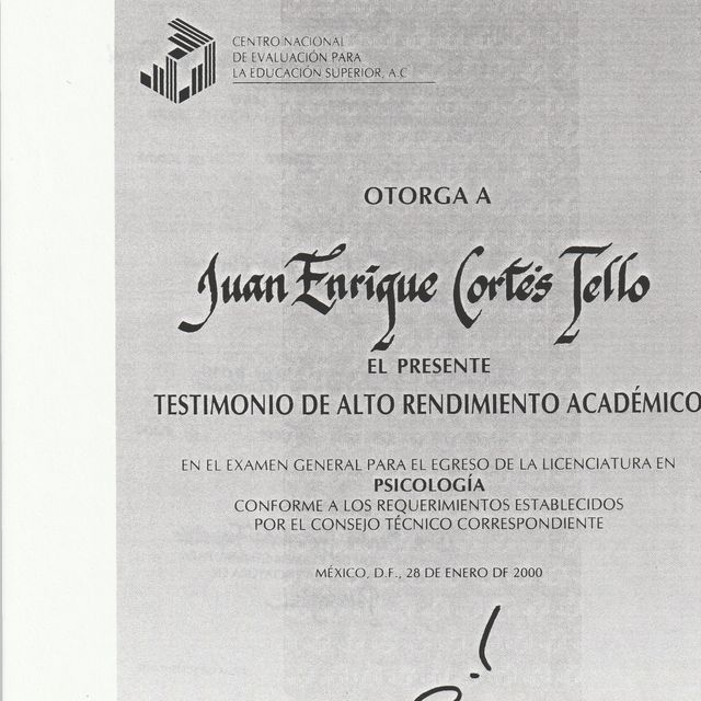 Ampliar imagen: certificate 2