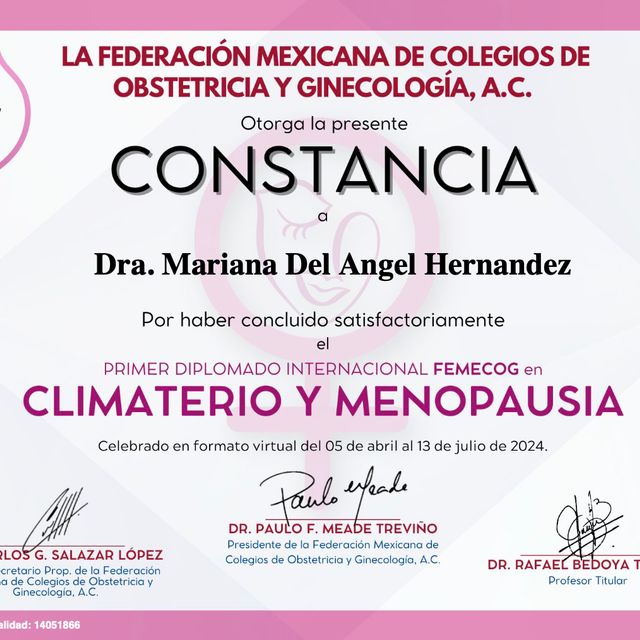 Ampliar imagen: certificate 3