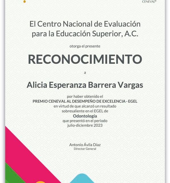 Ampliar imagen: certificate 8
