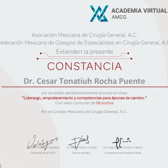 Ampliar imagen: certificate 101