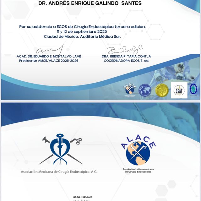 Ampliar imagen: certificate 8