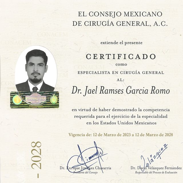 Ampliar imagen: certificate 3