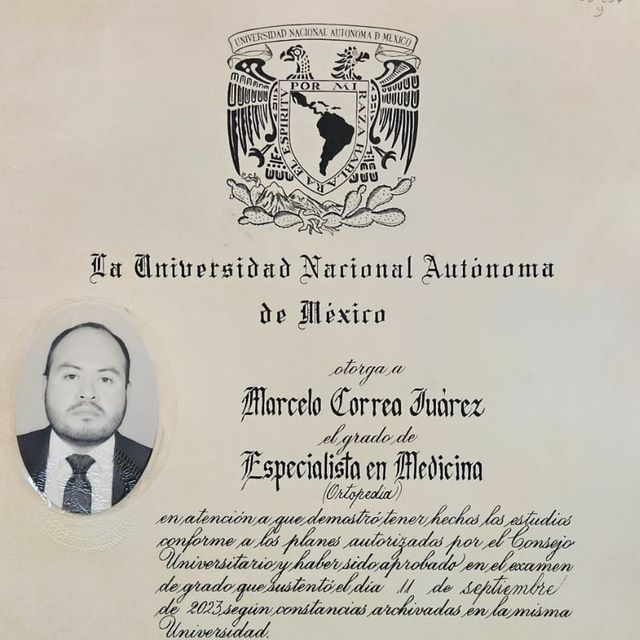 Ampliar imagen: certificate 3