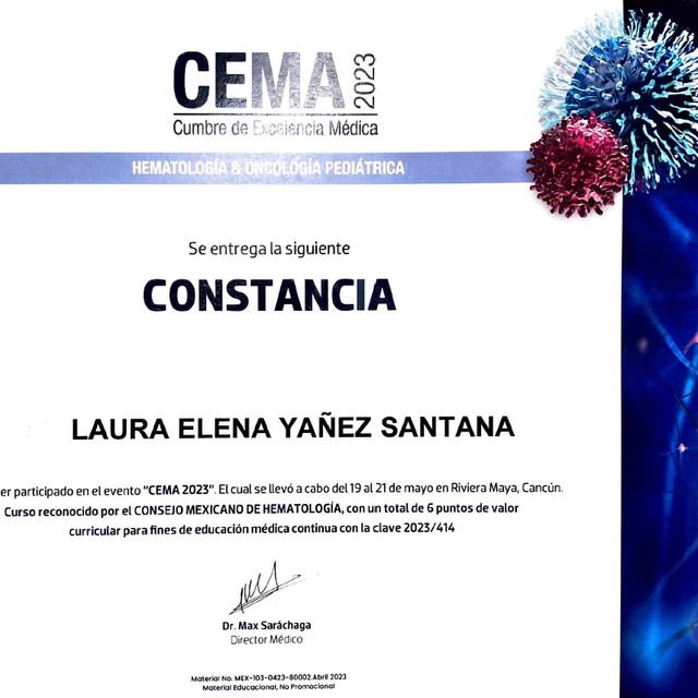 Ampliar imagen: certificate 15