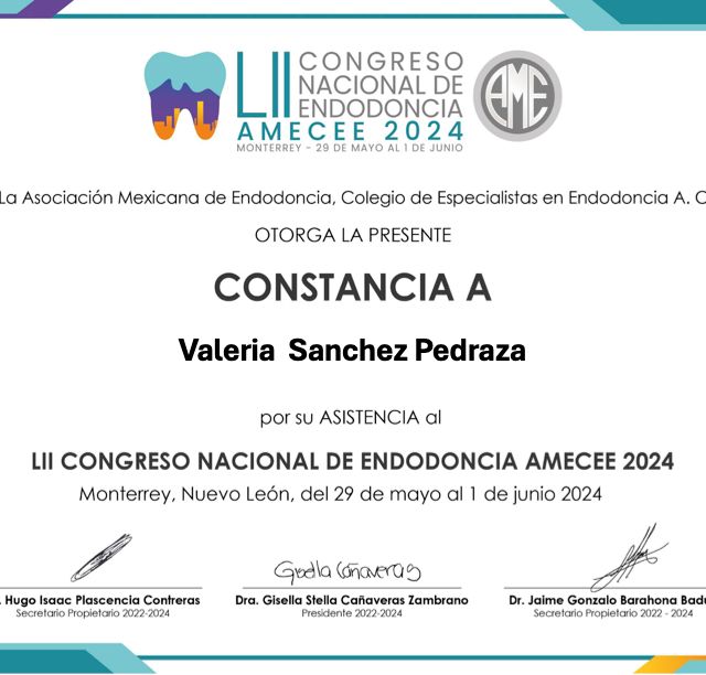Ampliar imagen: certificate 12
