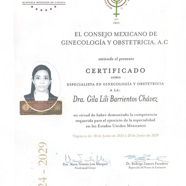 Ampliar imagen: certificate 4