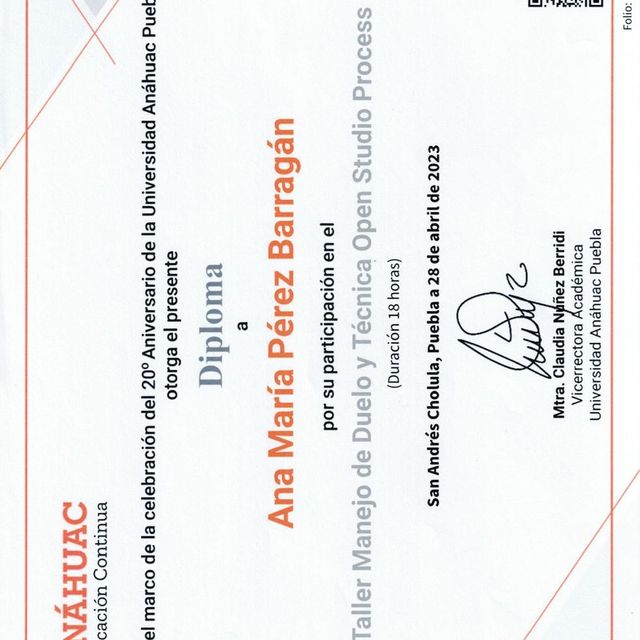 Ampliar imagen: certificate 3