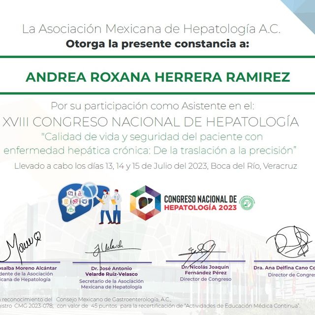 Ampliar imagen: certificate 3
