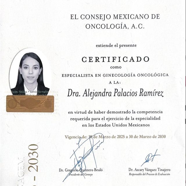 Ampliar imagen: certificate 1