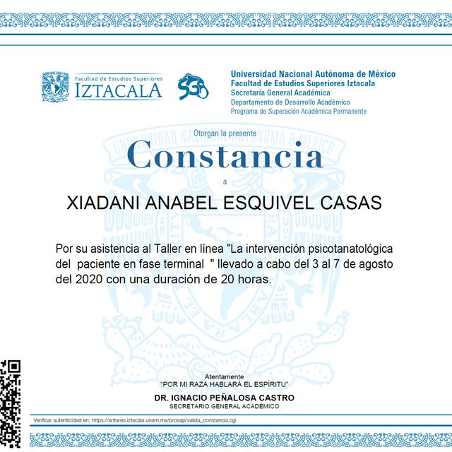 Ampliar imagen: certificate 6