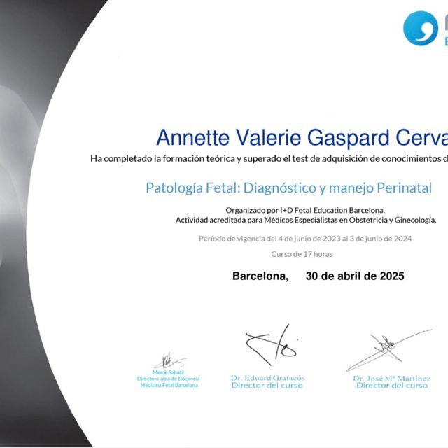 Ampliar imagen: certificate 4