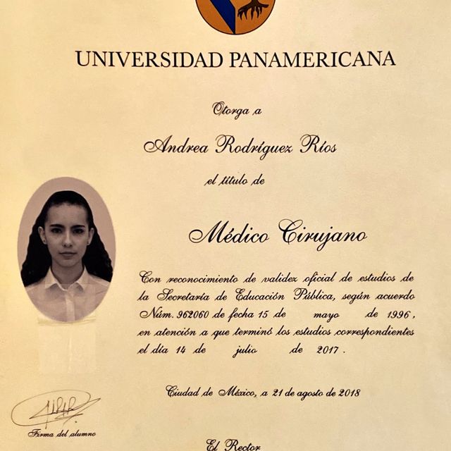 Ampliar imagen: certificate 4